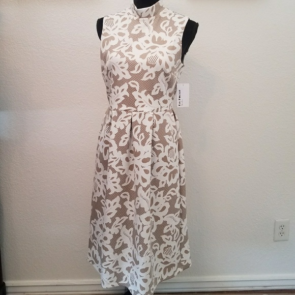 enfocus Studio Dresses & Skirts - Sophisticated, tan and white sleeveless dress.